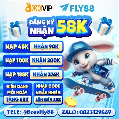 hỗ trợ fly88